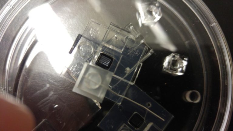 Assembling a Variant of Jirachai’s Microfluidic Device for ACEO