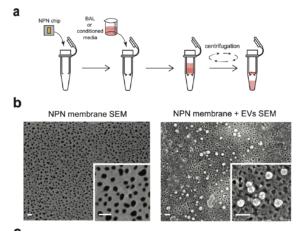 Screen Shot 2021-12-15 at 11.38.16 AM