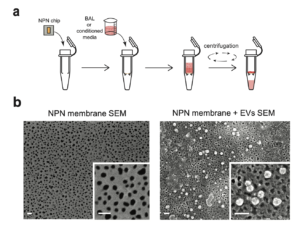 Screen Shot 2021-12-15 at 11.38.19 AM