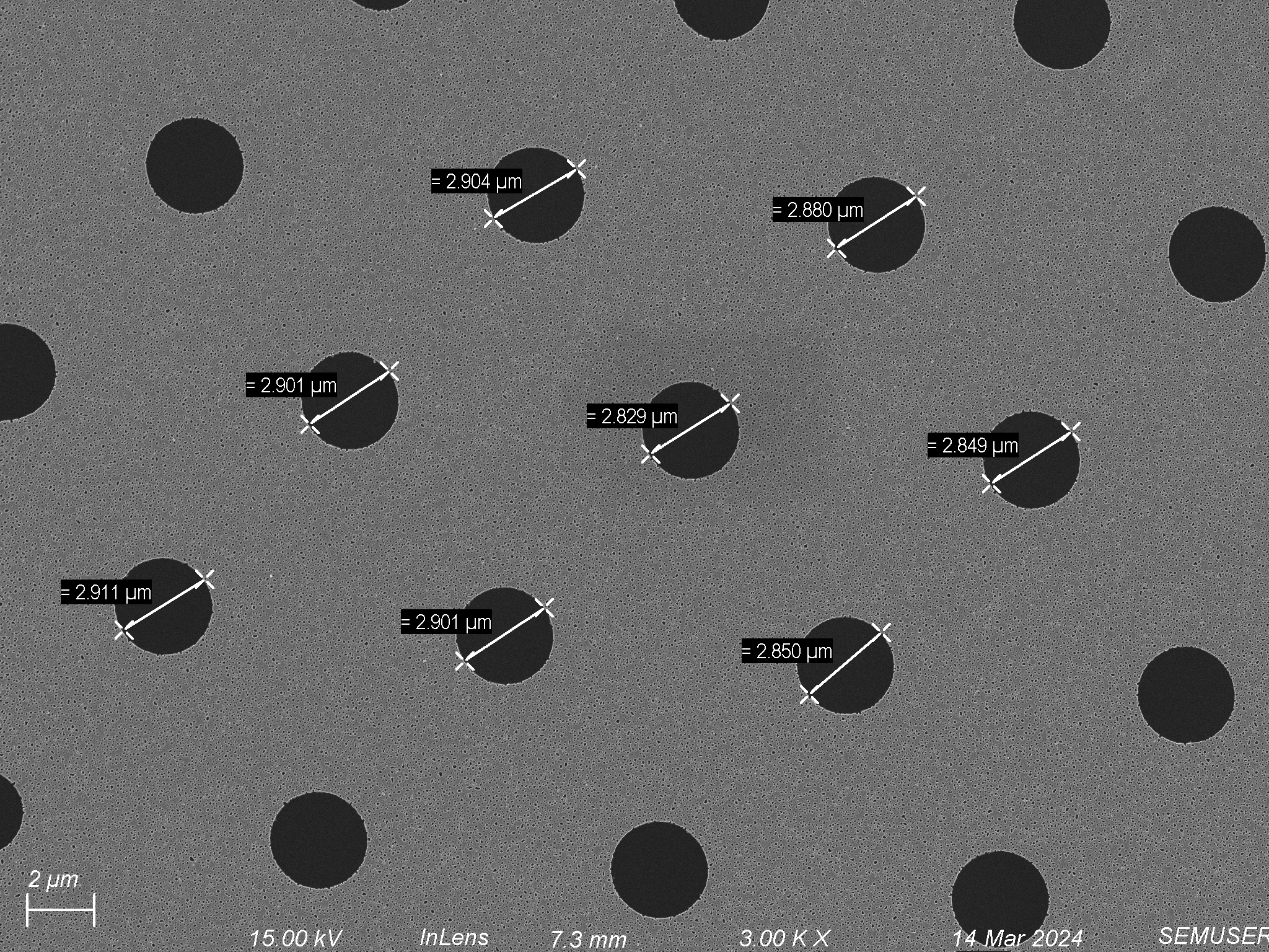 Wafer #1531 – 3 micron Dual Scale – High Porosity