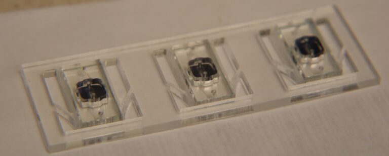 μSlide to hold μSiM devices for enhanced imaging & fluidic applications