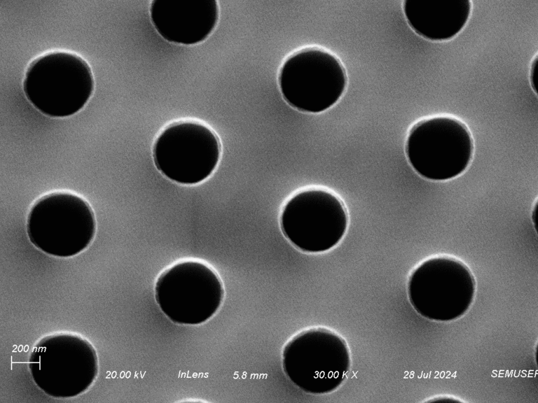Wafer #5242- 0.5 μm Microporous