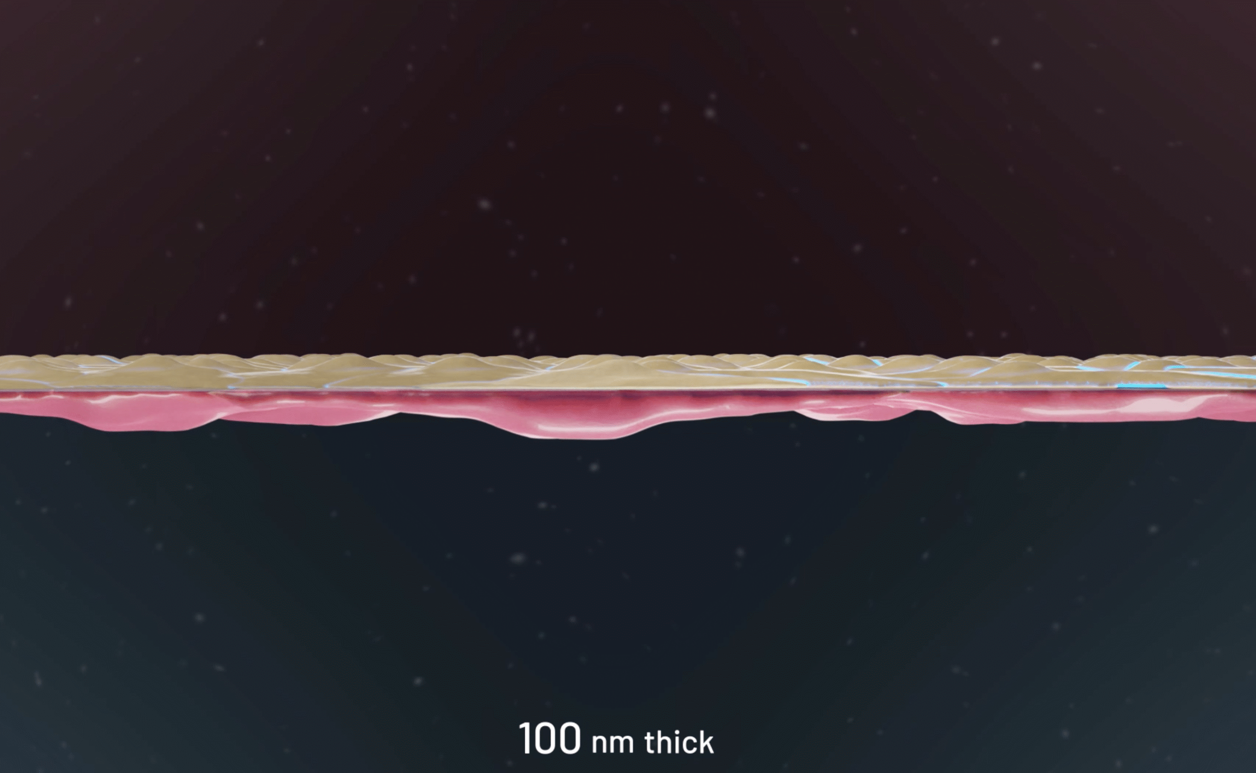 Blood-Brain Barrier on the µSiM