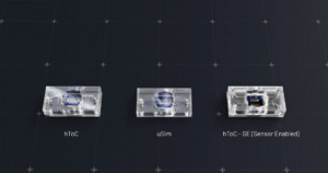 customization