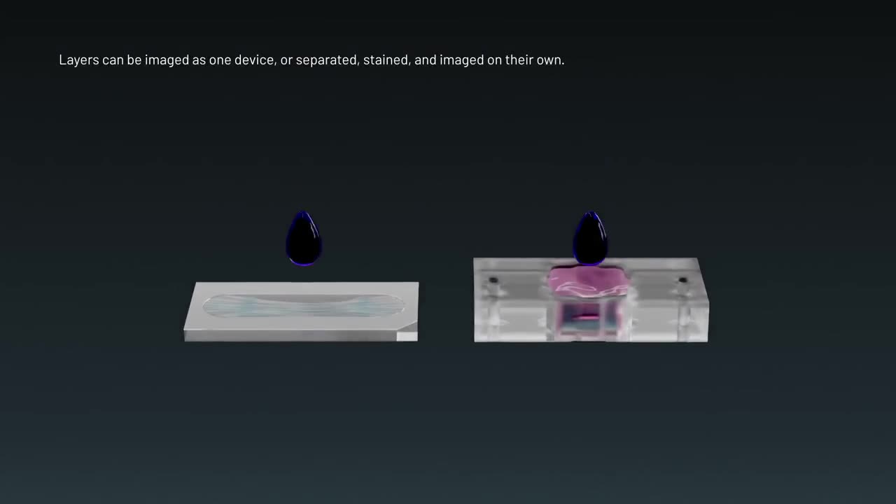 Reversible Assembly